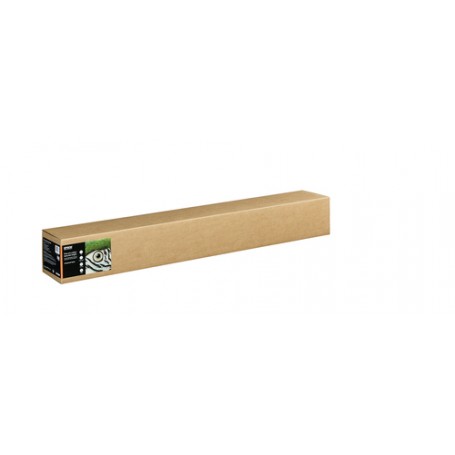 Epson C13S450286 carta da disegno Foglio d'arte 1 fogli (C13S450286)