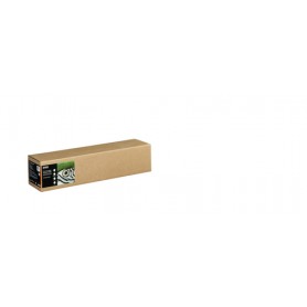 Epson C13S450285 carta da disegno Foglio d'arte 1 fogli (C13S450285)