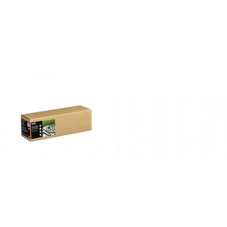 Epson C13S450284 carta da disegno Foglio d'arte 1 fogli (C13S450284)