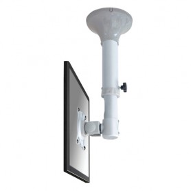 Neomounts by Newstar Supporto da soffitto per schermi LCD/LED/TFT (FPMA-C025SILVER)