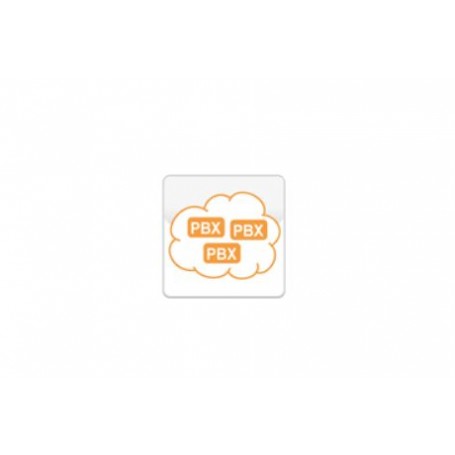 SOFTWARE SERVICE CREDIT (02-00023-005)