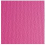CF10 LR FUCSIA-70X100 (46470123)