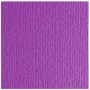 CF10 LR VIOLA-70X100 (46470104)