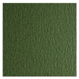CF10 LR VERDONE-70X100 (46470128)