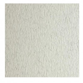 CF10 LR BRINA-70X100 (46470129)