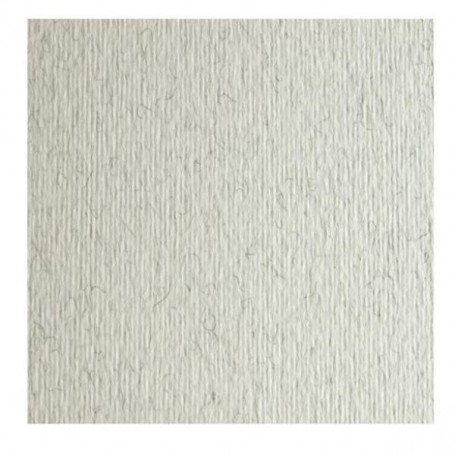 CF10 LR BRINA-70X100 (46470129)