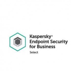 KES SELECT 150-249 NODE 1Y SCS (KL4863XASFG)