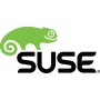 Suse Linux Enterprise Desktop, 1Y Client Access License (CAL) 1 licenza/e 1 anno/i (874-006870)