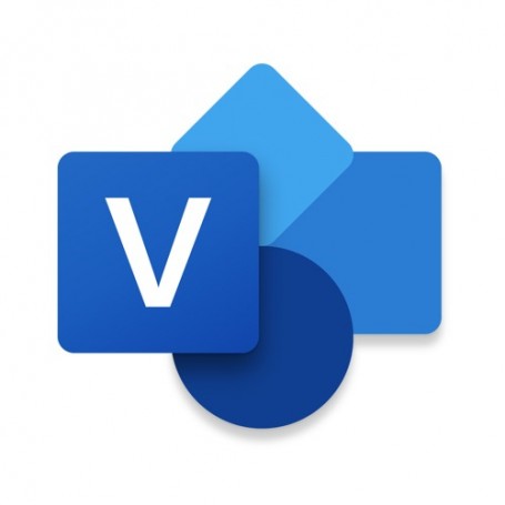 Microsoft Visio Standard 2021 1 licenza/e Multilingua (D86-05942)