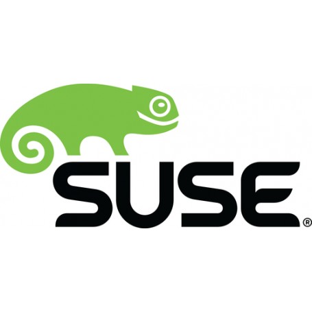 Suse SLESx86 1-2 Socs or 1-2 VMStd Subs 1 Y Client Access License (CAL) 1 anno/i (874-006879)