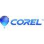 Corel CASLL3STD1Y licenza per software/aggiornamento 1 licenza/e 1 anno/i (CASLL3STD1Y)