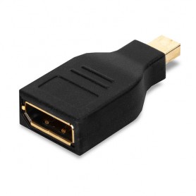 Lindy 41077 adattatore per inversione del genere dei cavi Mini Display Port Display Port Nero (41077-LND)