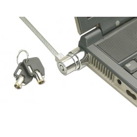 Lindy 20945 cavo di sicurezza 1,6 m (20945)