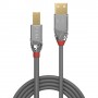 Lindy 36644 cavo USB 5 m USB 2.0 USB A USB B Grigio (36644)
