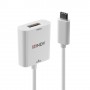 Lindy 43245 adattatore grafico USB 3840 x 2160 Pixel Bianco (43245)