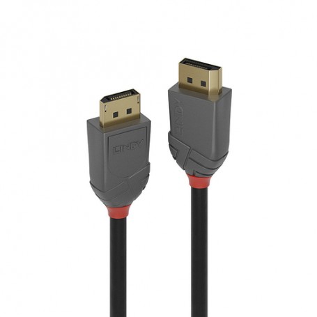 Lindy 36484 cavo DisplayPort 5 m Nero, Grigio (36484-LND)