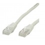 Nilox 1m Cat6 UTP cavo di rete Grigio U/UTP (UTP) (NX090504102)