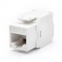 PRESA RJ45U CAT.6  BIANCO (WPC-KEY-6UP-TL/W)