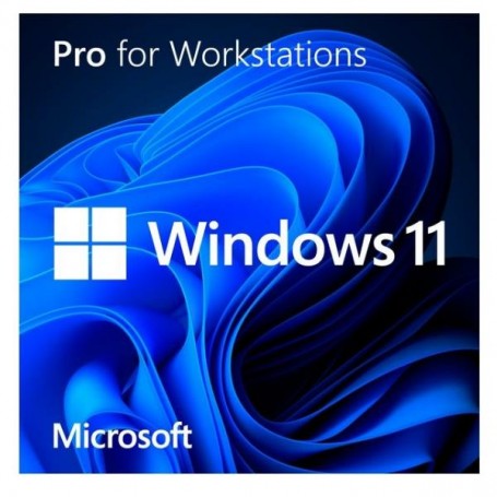 WIND11 HOMEPRO UPGRADE M365BUSINESS (DG7GMGF0D8H4-0002)