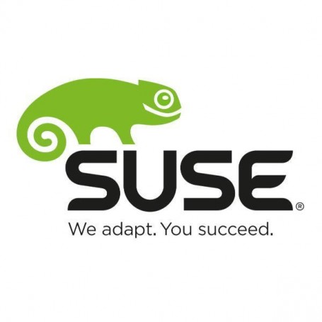 SLES PWR 1-2 SKT OR 1-2 VM STD SUB (874-007162)
