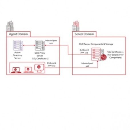 DLO 100USR STD SUB+ESS INT 12M CORP (18009-M0008)