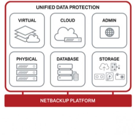 ES 12M RNW NETBACKUP UNIX GOV (14399-M3-23)