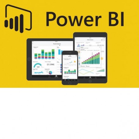 POWER BI PREMIUM P2 NOPROF (CSP-PBIP2-NP)