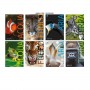 CF10 QUAD. ANIMALI 100G A4 1R (7863)