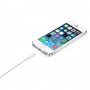 Apple Cavo da Lightning a USB (2 m) (MD819ZM/A)