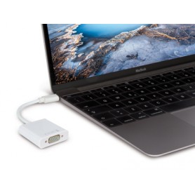Hamlet HVATC2VGA cavo e adattatore video 0,13 m USB tipo-C VGA (D-Sub) Bianco (HVATC2VGA)