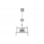 Multibrackets 2494 Supporto per display espositivi 139,7 cm (55") Bianco (MB2494)