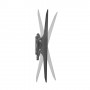 Neomounts by Newstar Supporto a parete per TV (LFD-W2000)