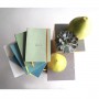 TACCUINOA5 80F - ELASTICO - CIOCCOL (117403C)
