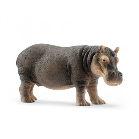 Schleich Wild Life 14814 action figure giocattolo (14814)