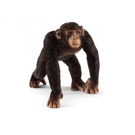 Schleich Wild Life 14817 action figure giocattolo (14817)