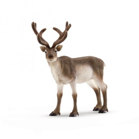 Schleich Wild Life 14837 action figure giocattolo (14837)