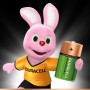 Duracell 5000394055995 batteria per uso domestico Batteria ricaricabile Nichel-Metallo Idruro (NiMH) (055995)