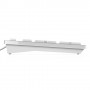 DELL KB216 tastiera USB QWERTZ Tedesco Bianco (580-ADHW)