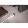Digitus 1m, Lightning/USB-A Bianco (DB-600106-010-W)