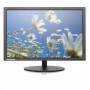 Lenovo ThinkVision T2054P 49,5 cm (19.5") 1440 x 900 Pixel WXGA+ LED Nero (60G1MAT2EU)