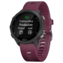 Garmin 010-02120-11 smartwatch 3,05 cm (1.2") 30 mm MIP Nero GPS (satellitare) (010-02120-11)