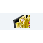 Sony KD-75XG8096 Android TV 75", Smart TV LED 4K HDR Ultra HD KD75XG8096BAEP, (SONY ITALIA 2 ANNI) (KD75XG8096BAEP)