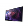 Sony KD48A9BAEP  TV 139,7 cm (48") OLED 4K Ultra HD Smart TV Wi-Fi Nero MY2020 (SONY ITALIA) (KD48A9BAEP)