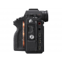 SONY ALPHA 9II + FE 24-70/2,8 GM (SONY ITALIA) in omaggio SONY ESTENSIONE GARANZIA 5 ANNI+KASKO. (SS240)
