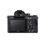 SONY ALPHA 7S II + SEL FE 24-70/4 ZA OSS (SONY ITALIA) (SS155)