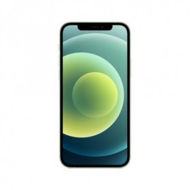 Apple iPhone 12 15,5 cm (6.1") Doppia SIM iOS 14 5G 64 GB Verde (MGJ93ZD/A)