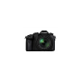 Panasonic DMC-FZ1000EG-K videocamera bridge nera di fascia alta, obiettivo Leica (DMC-FZ1000EG-K)
