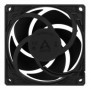ARCTIC P8 PWM PST Case per computer Ventilatore 8 cm Nero (ACFAN00150A)