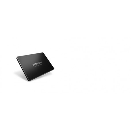 Samsung PM883 2.5" 240 GB Serial ATA III (MZ7LH240HAHQ-00005)