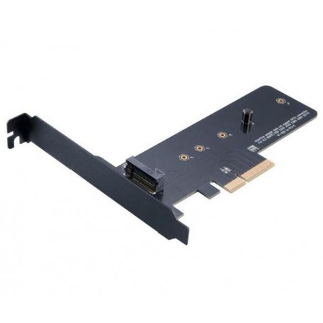 Akasa AK-PCCM2P-01 scheda di interfaccia e adattatore Interno M.2 (AK-PCCM2P-01)